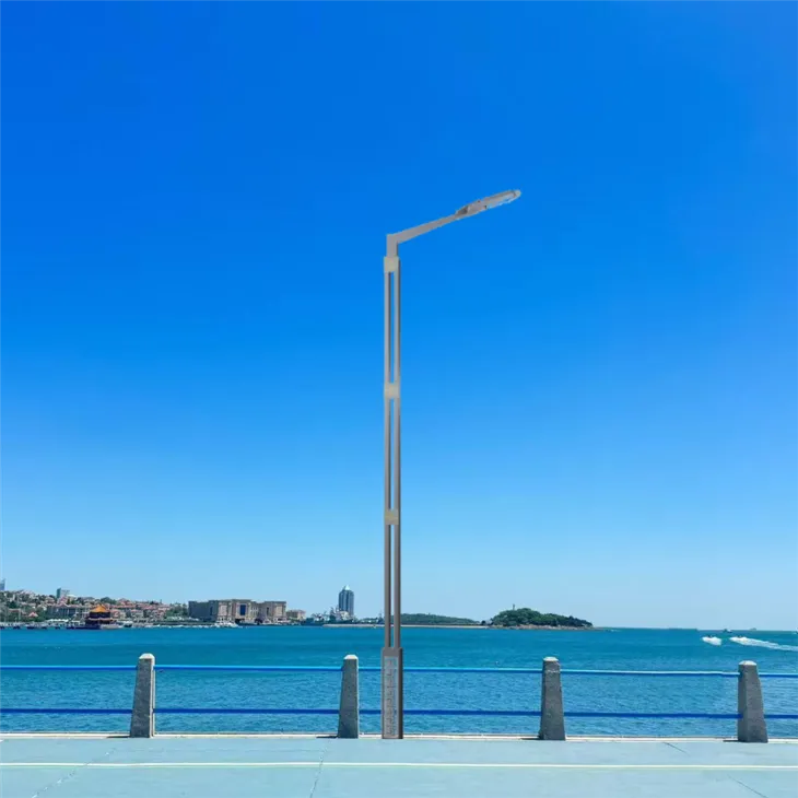Solar Led Street Light 30w best